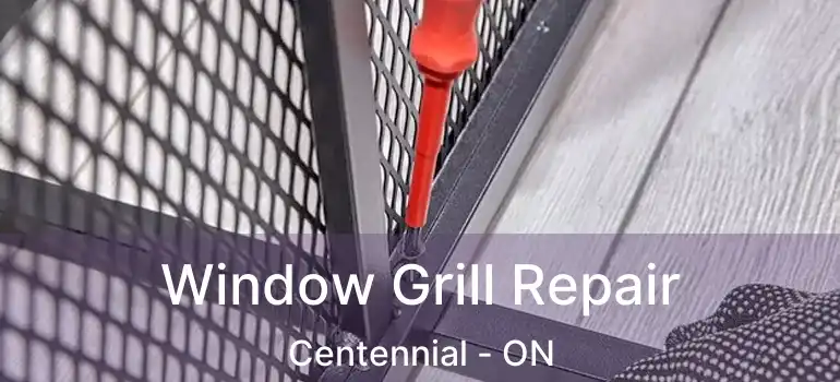  Window Grill Repair Centennial - ON