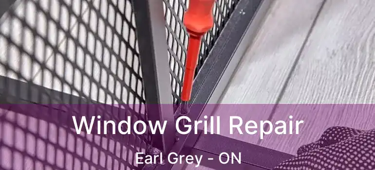  Window Grill Repair Earl Grey - ON