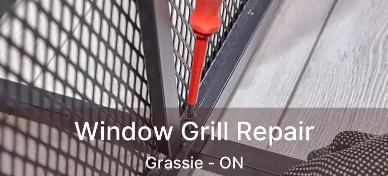  Window Grill Repair Grassie - ON