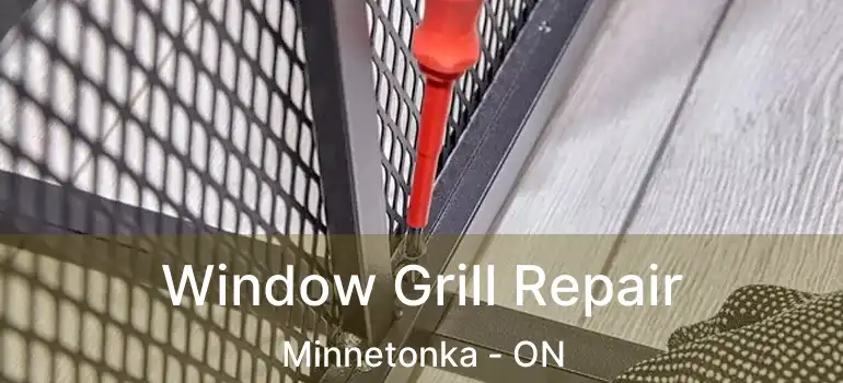  Window Grill Repair Minnetonka - ON