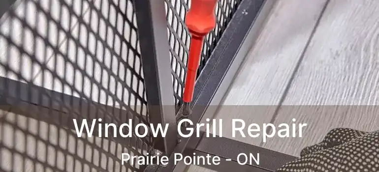  Window Grill Repair Prairie Pointe - ON