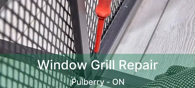  Window Grill Repair Pulberry - ON
