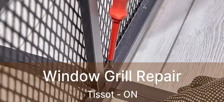  Window Grill Repair Tissot - ON
