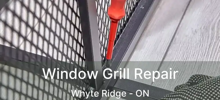  Window Grill Repair Whyte Ridge - ON