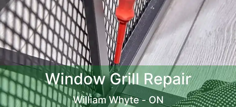  Window Grill Repair William Whyte - ON