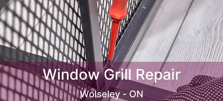  Window Grill Repair Wolseley - ON