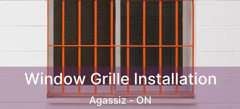  Window Grille Installation Agassiz - ON