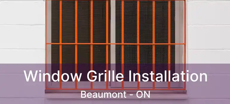  Window Grille Installation Beaumont - ON
