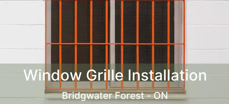  Window Grille Installation Bridgwater Forest - ON
