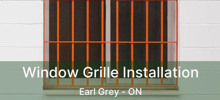  Window Grille Installation Earl Grey - ON