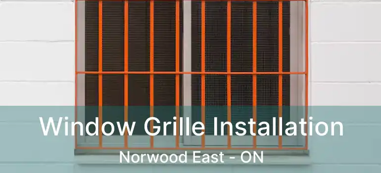  Window Grille Installation Norwood East - ON