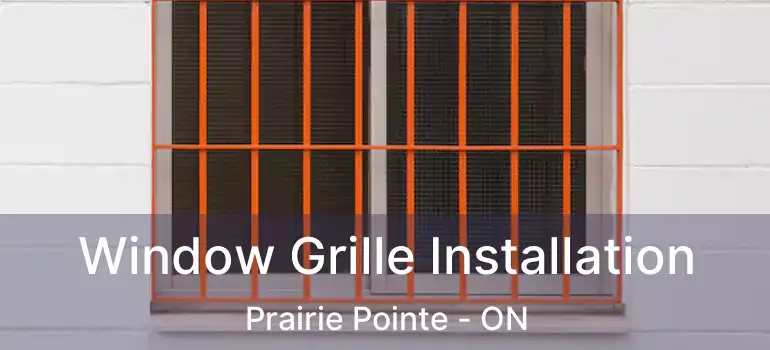  Window Grille Installation Prairie Pointe - ON