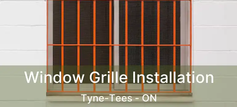  Window Grille Installation Tyne-Tees - ON