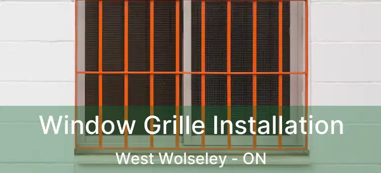  Window Grille Installation West Wolseley - ON