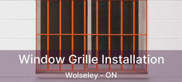  Window Grille Installation Wolseley - ON