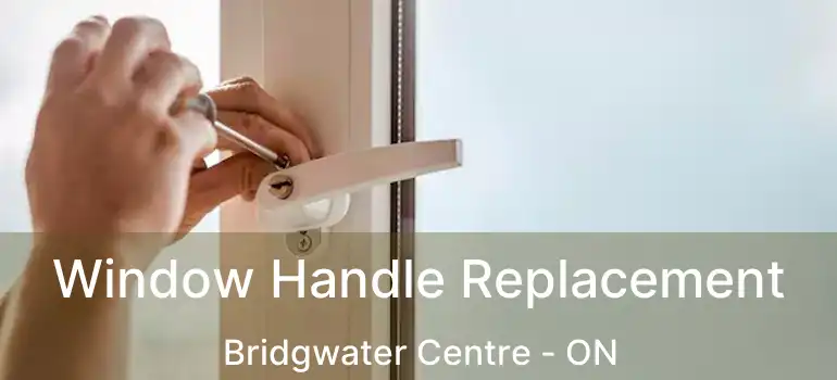  Window Handle Replacement Bridgwater Centre - ON