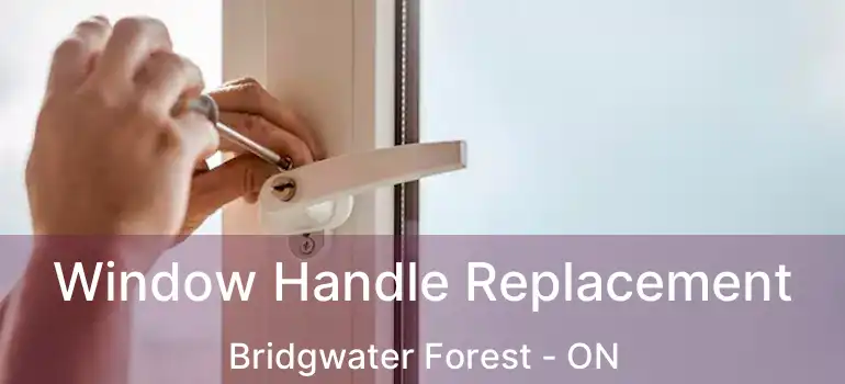 Window Handle Replacement Bridgwater Forest - ON