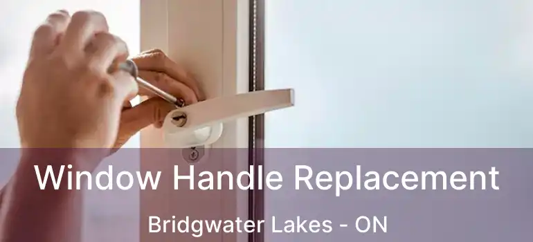  Window Handle Replacement Bridgwater Lakes - ON