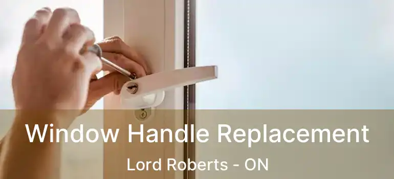  Window Handle Replacement Lord Roberts - ON