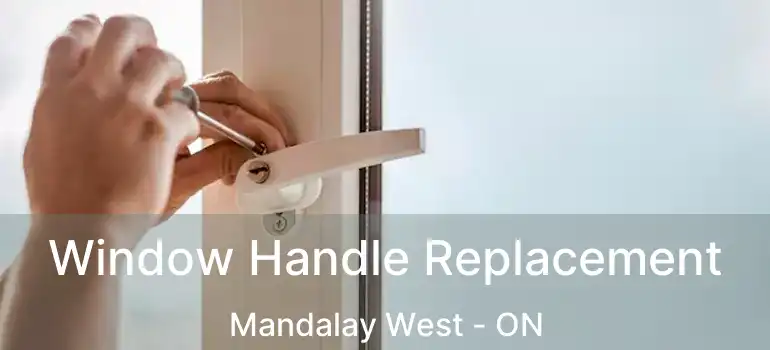  Window Handle Replacement Mandalay West - ON