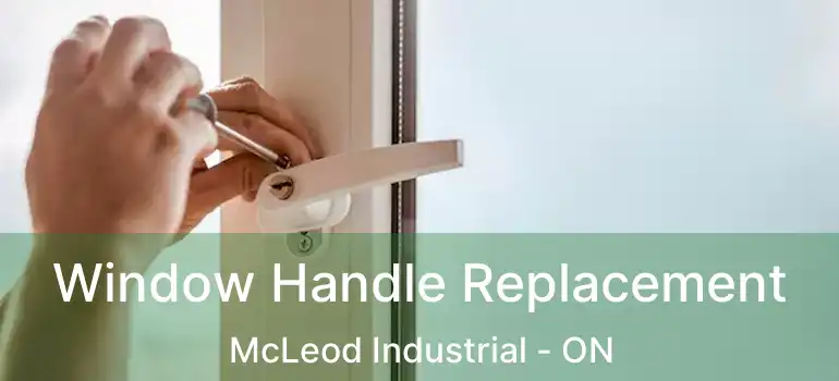  Window Handle Replacement McLeod Industrial - ON