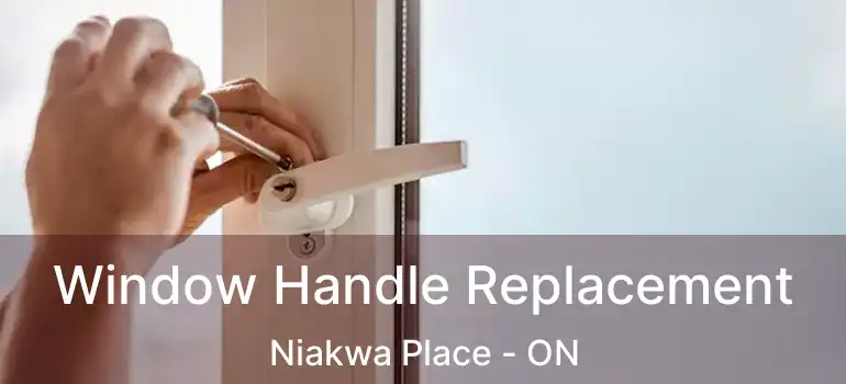  Window Handle Replacement Niakwa Place - ON