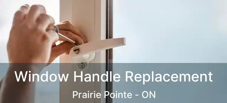  Window Handle Replacement Prairie Pointe - ON