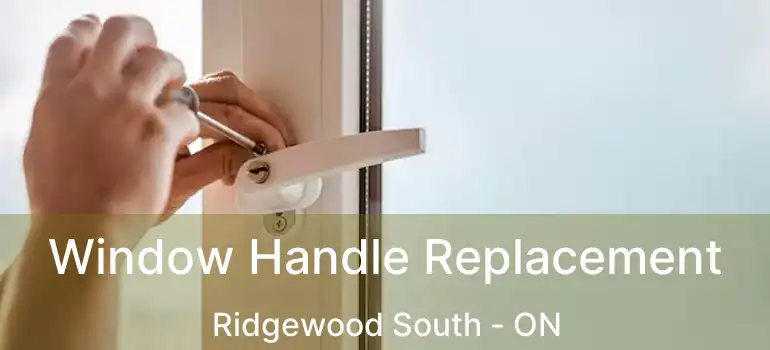  Window Handle Replacement Ridgewood South - ON