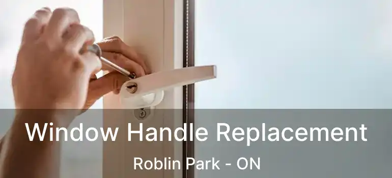  Window Handle Replacement Roblin Park - ON