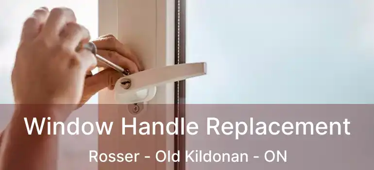  Window Handle Replacement Rosser - Old Kildonan - ON