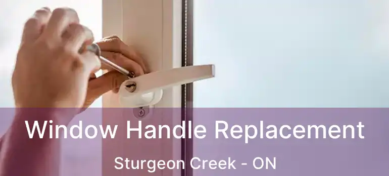  Window Handle Replacement Sturgeon Creek - ON