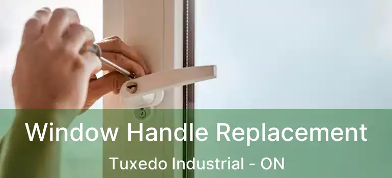  Window Handle Replacement Tuxedo Industrial - ON