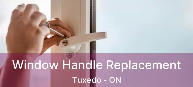  Window Handle Replacement Tuxedo - ON