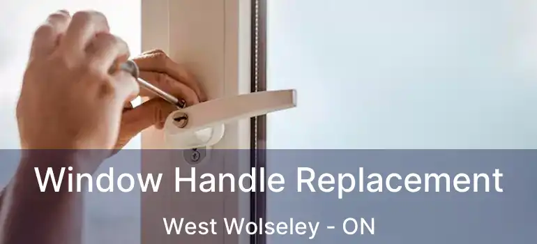  Window Handle Replacement West Wolseley - ON