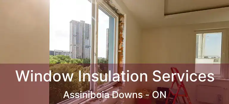  Window Insulation Services Assiniboia Downs - ON