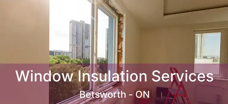  Window Insulation Services Betsworth - ON