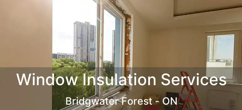  Window Insulation Services Bridgwater Forest - ON