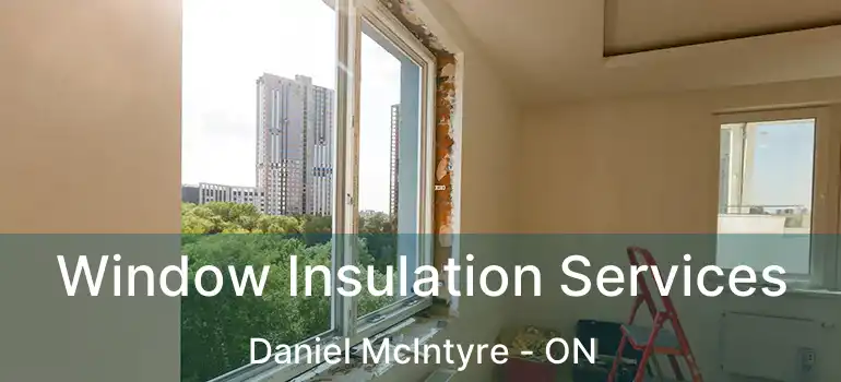  Window Insulation Services Daniel McIntyre - ON