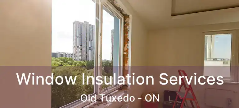  Window Insulation Services Old Tuxedo - ON