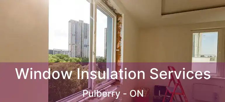  Window Insulation Services Pulberry - ON
