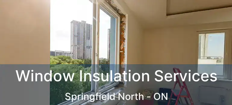  Window Insulation Services Springfield North - ON
