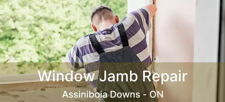  Window Jamb Repair Assiniboia Downs - ON