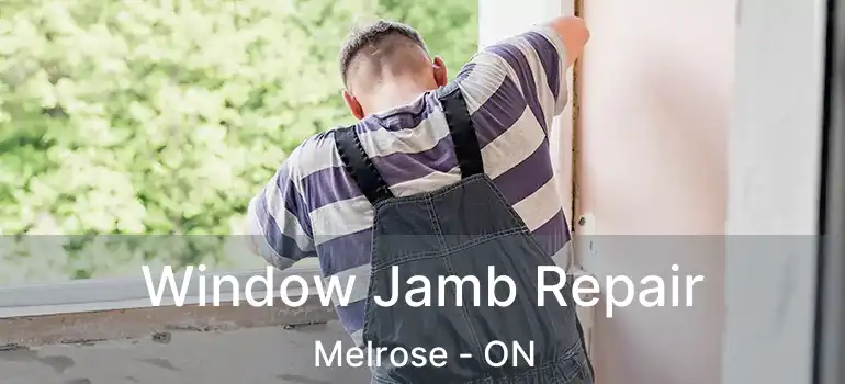  Window Jamb Repair Melrose - ON