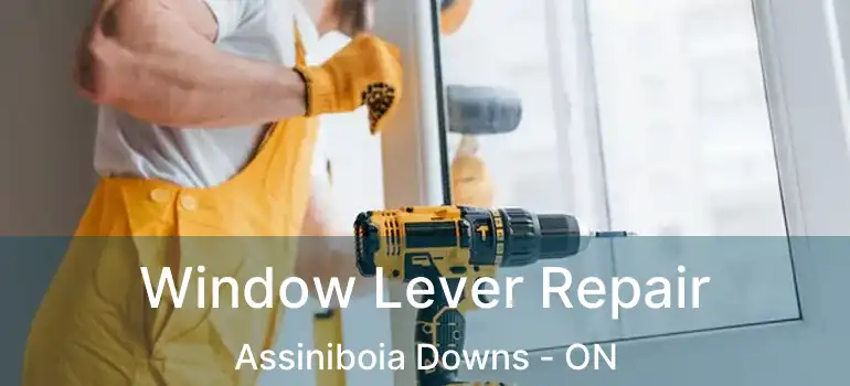  Window Lever Repair Assiniboia Downs - ON