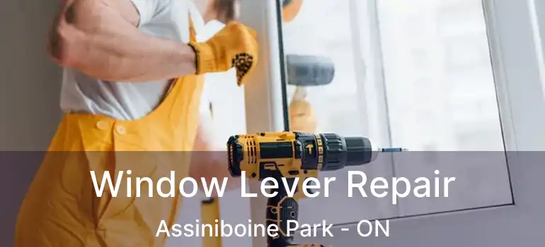  Window Lever Repair Assiniboine Park - ON
