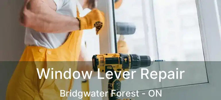  Window Lever Repair Bridgwater Forest - ON