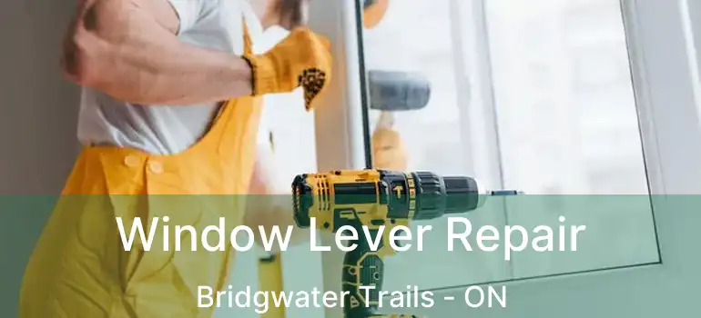  Window Lever Repair Bridgwater Trails - ON