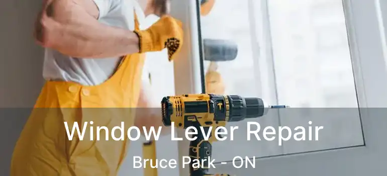 Window Lever Repair Bruce Park - ON