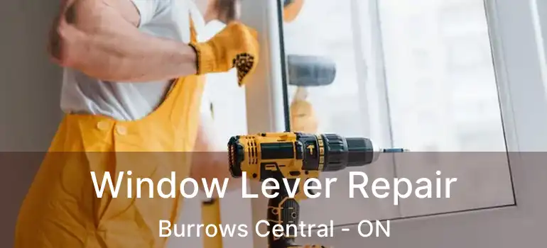  Window Lever Repair Burrows Central - ON