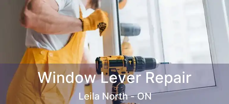  Window Lever Repair Leila North - ON